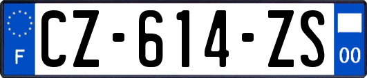 CZ-614-ZS