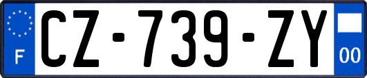 CZ-739-ZY