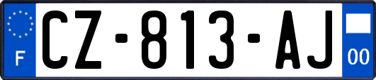 CZ-813-AJ