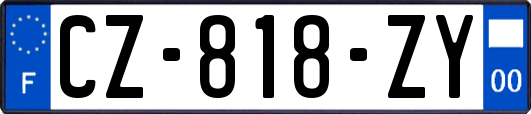 CZ-818-ZY