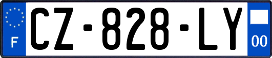 CZ-828-LY