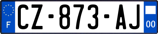 CZ-873-AJ