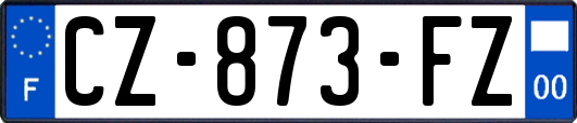 CZ-873-FZ