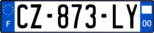 CZ-873-LY