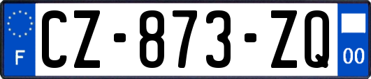 CZ-873-ZQ