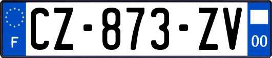 CZ-873-ZV