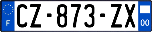 CZ-873-ZX
