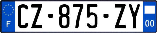 CZ-875-ZY