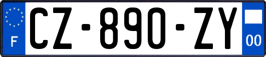 CZ-890-ZY