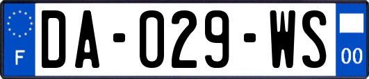 DA-029-WS