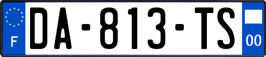 DA-813-TS