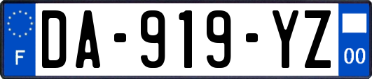 DA-919-YZ