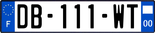 DB-111-WT