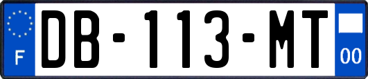 DB-113-MT