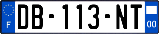 DB-113-NT