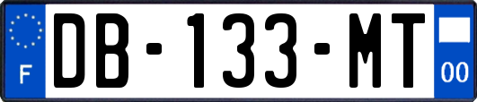 DB-133-MT