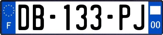 DB-133-PJ
