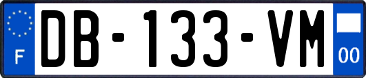 DB-133-VM
