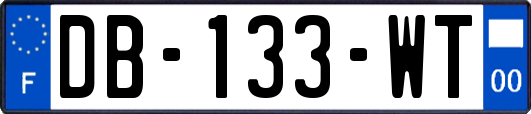 DB-133-WT
