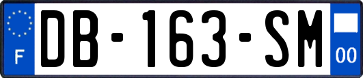 DB-163-SM