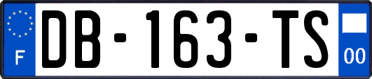 DB-163-TS