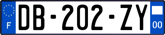DB-202-ZY