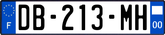DB-213-MH