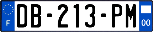 DB-213-PM