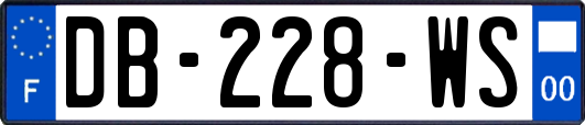 DB-228-WS