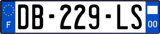 DB-229-LS