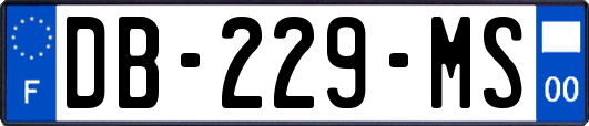 DB-229-MS