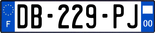 DB-229-PJ