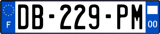 DB-229-PM