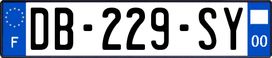 DB-229-SY