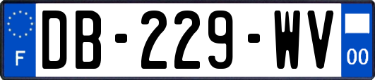 DB-229-WV
