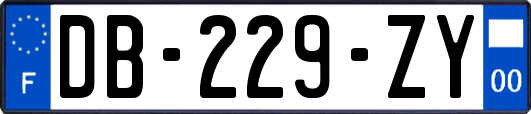 DB-229-ZY