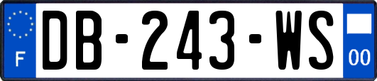DB-243-WS