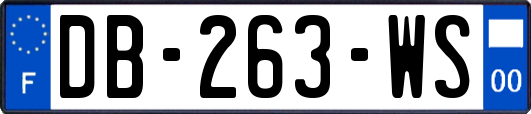 DB-263-WS