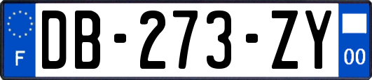 DB-273-ZY