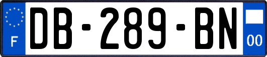 DB-289-BN