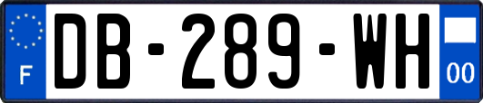 DB-289-WH