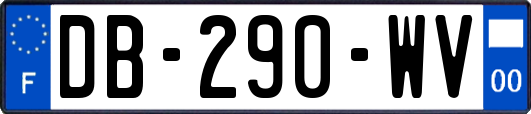 DB-290-WV