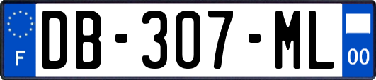 DB-307-ML