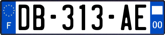 DB-313-AE