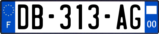 DB-313-AG