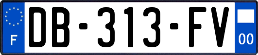 DB-313-FV