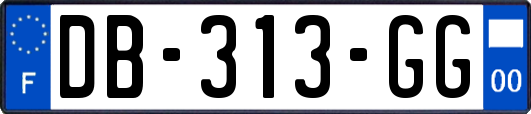 DB-313-GG