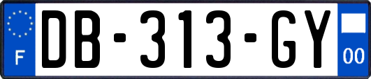 DB-313-GY
