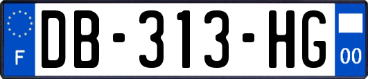 DB-313-HG