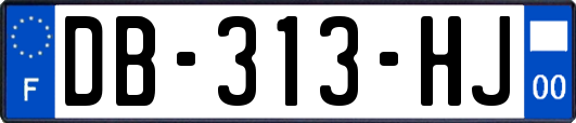 DB-313-HJ